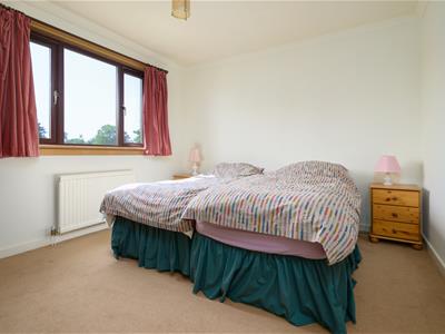 Picture 30